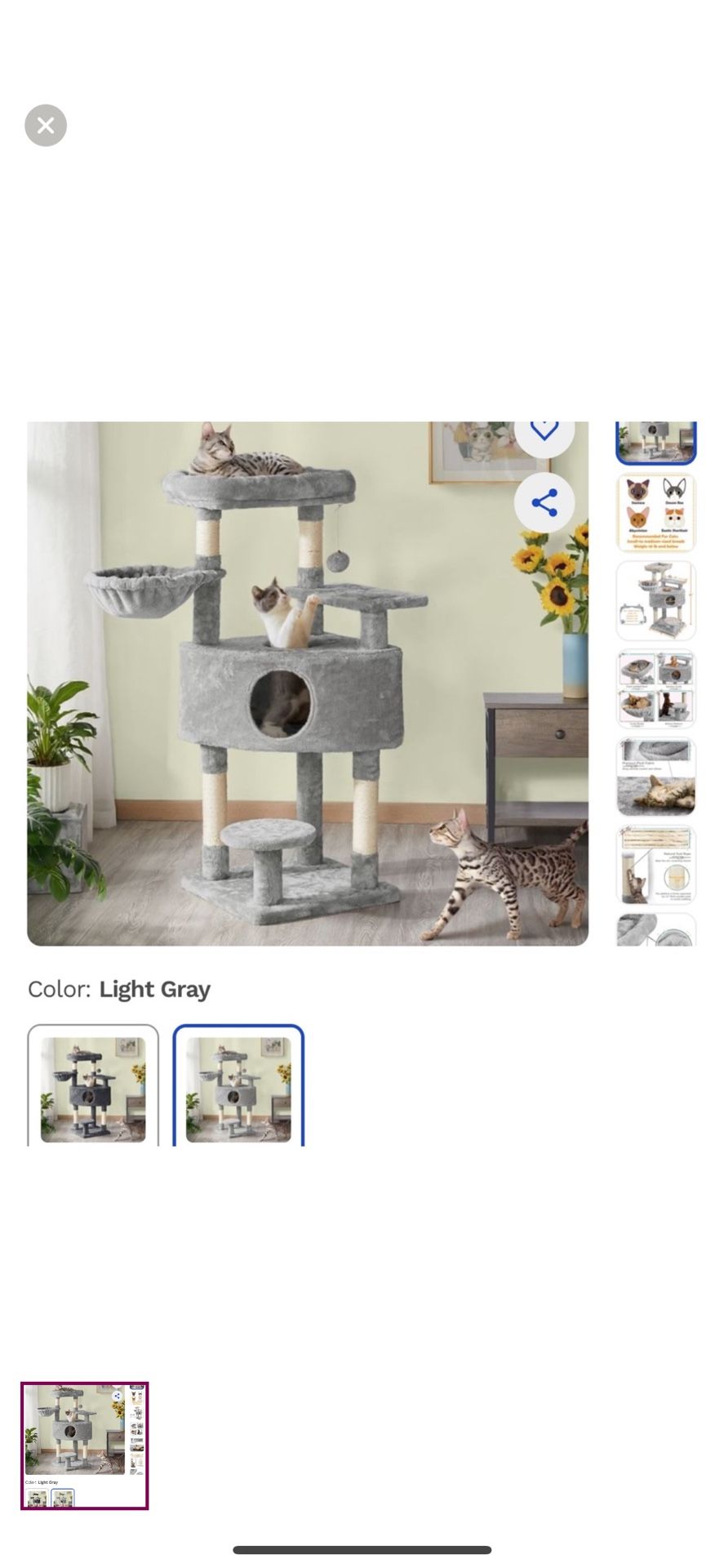 Cat Condo