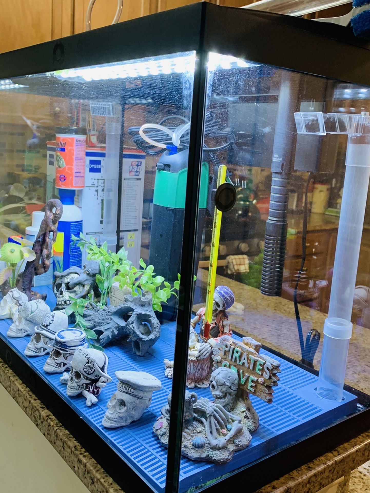 20 Gallons Aquarium With Decorated And All Accessories