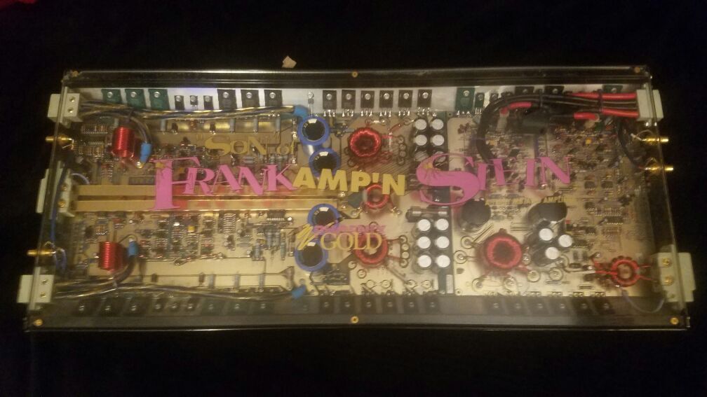 RARE AMP!!! Phoenix GOLD Son of Frank Amp N' Stein
