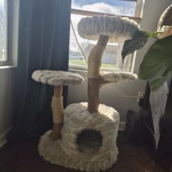 Cat Tree