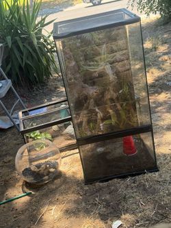 Tall terrarium