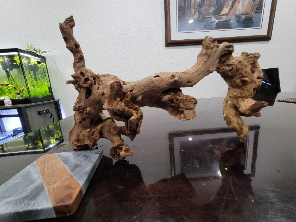 Large Aquarium Reptile Fish Driftwood