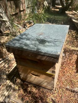 Bee hive boxes w/16 frames