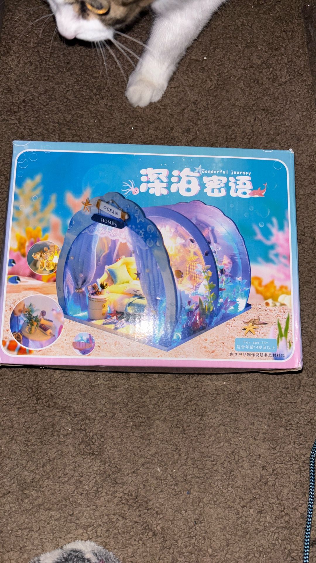 DIY Doll House Building & DVDs 