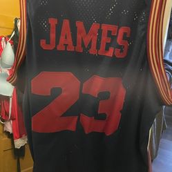Lebron Cavs Jersey 2x