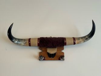 Mounted Animal Horns Wall Art
