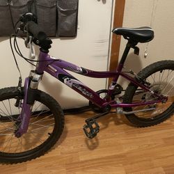 Kids Raleigh Rowdy 20” 20 Inch Bike 6 Speeds Hybrid 