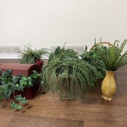 artificial houseplants arranged in decorative containers, wooden treasure chest
