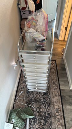 Organizer on wheels