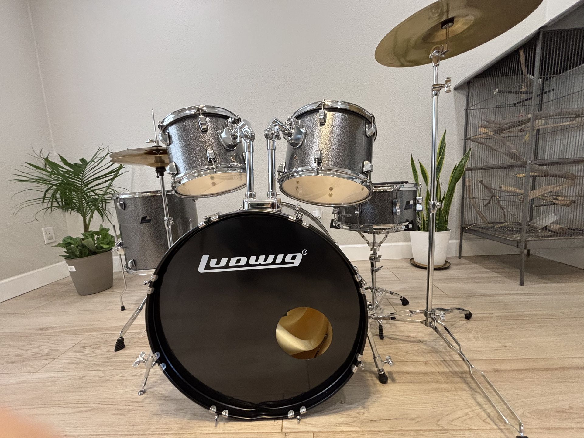 Ludwig BackBeat Drum Set