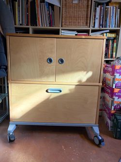 Storage and Hanging File Cabinet