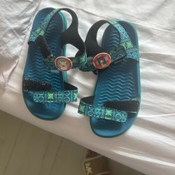 Disney Moana Native