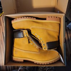 Timberland 6" Premium Butters Size 12 New $175