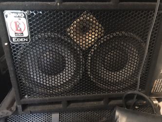 Bass Cabinet David Eden 210 with Flight Case