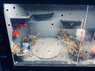 Spacious animal enclosure with accessories.