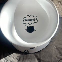 Cat Bowl 