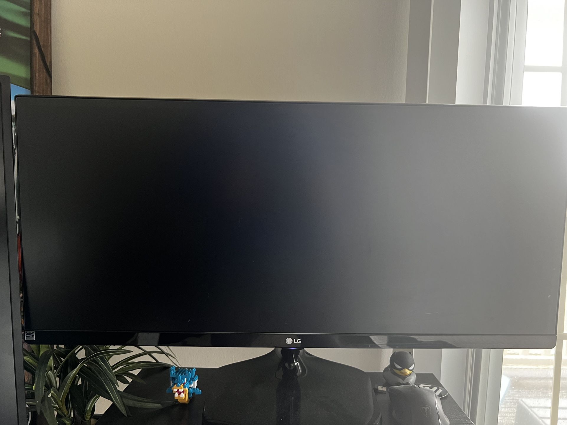 LG Ultra wide Monitor