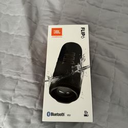 JBL FLIP 6 Speaker