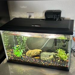 Working 20gal Fish Tank 