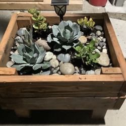 Planter Box With Plant