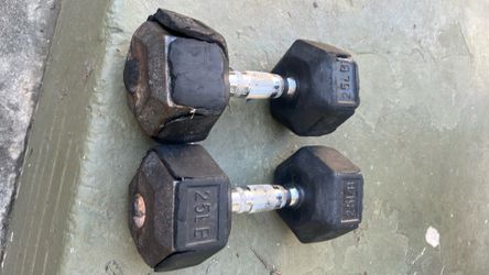 25lb dumbbells