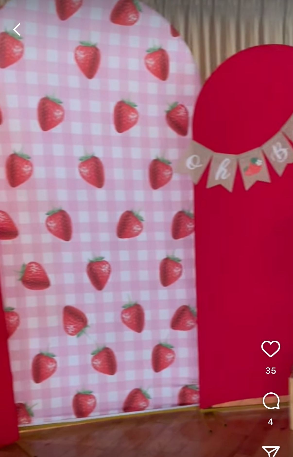 Strawberry Theme Party Decor Bundle 