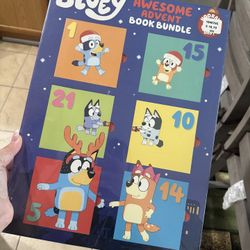 Bluey Advent Calendar