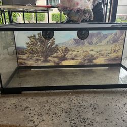 Fish Tank - Snake Tank 