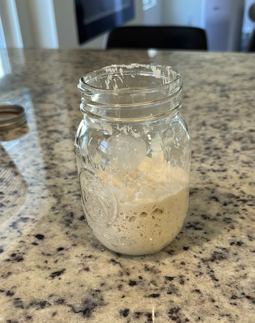 Organic Bleach free Sourdough Starter