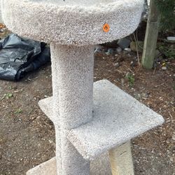 Cat Tree