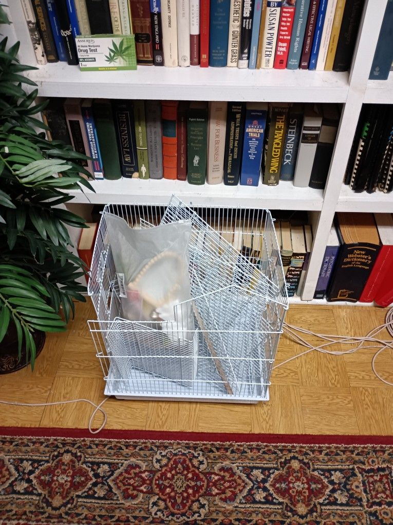 Bird Cage
