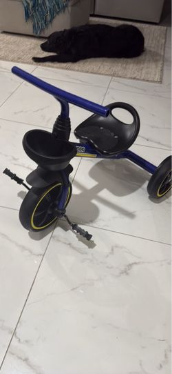 Toddler tricycle