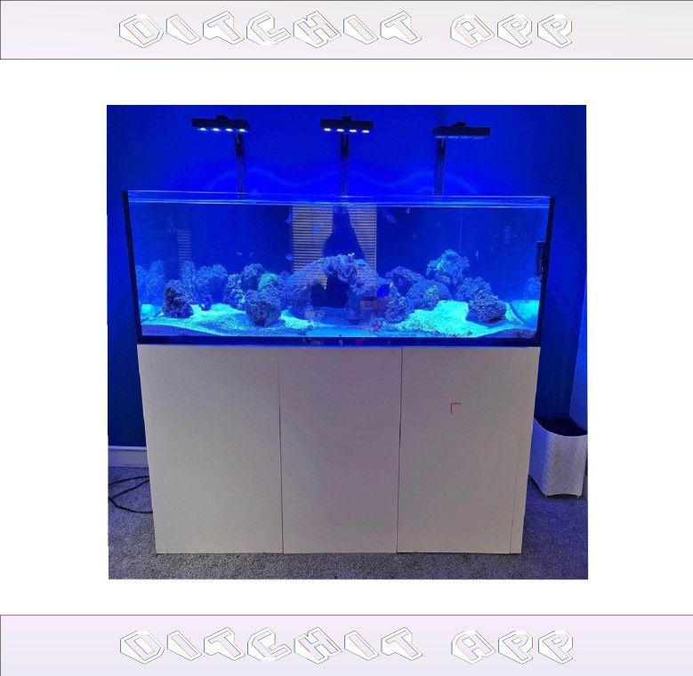 Giant Aquarium Tank - Spacious & Magnificent sure include