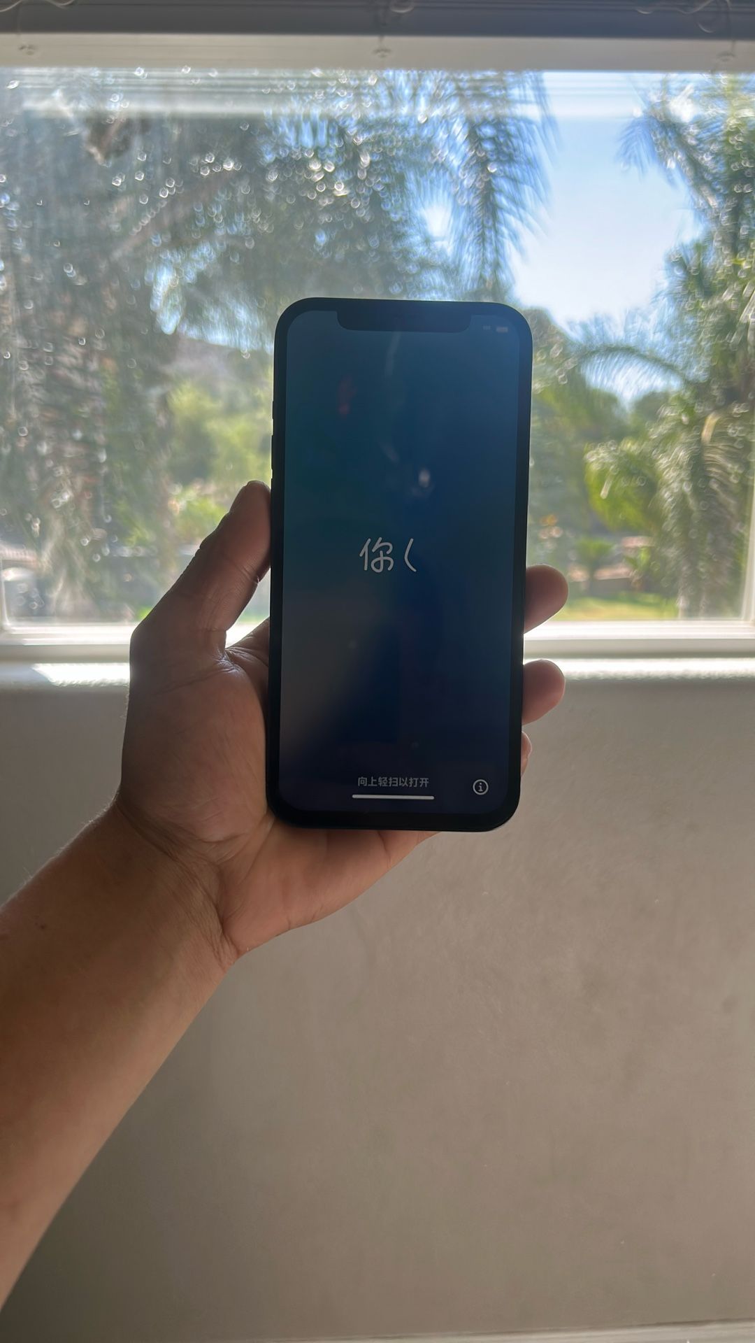 iPhone 13 Pro Max 256gb