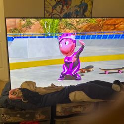 Lg Tv With Roku Included 