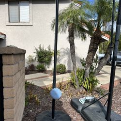 Lifetime Portable Tetherball