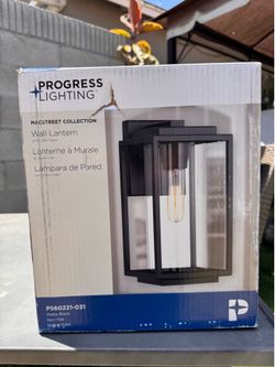 Macstreet 9 In. 1-Light Matte Black Modern Outdoor Wall Lantern with Clear Glass