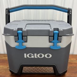 25 Quart Igloo Cooler
