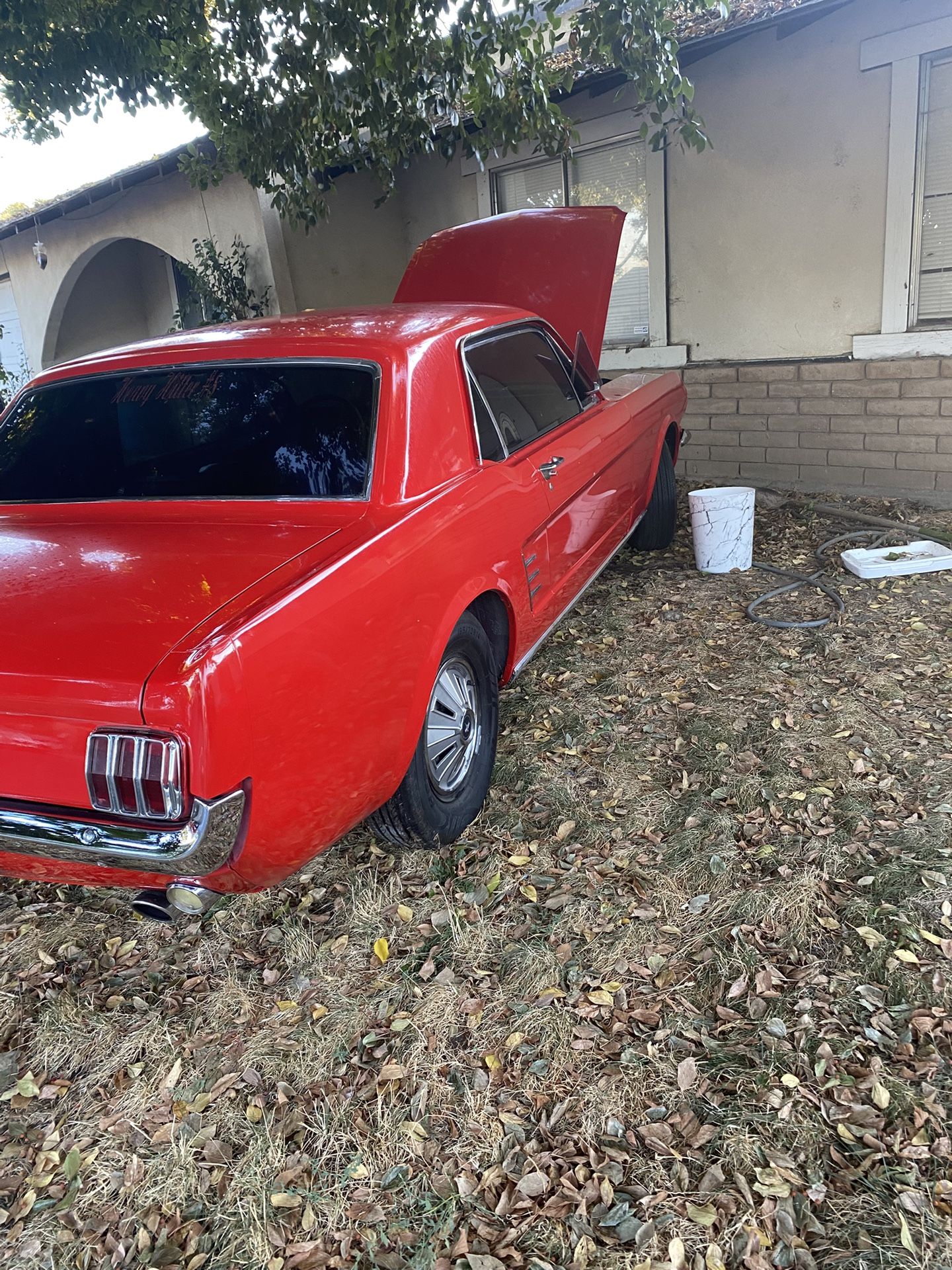 1966 Ford Mustang
