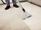 Carpet Clning