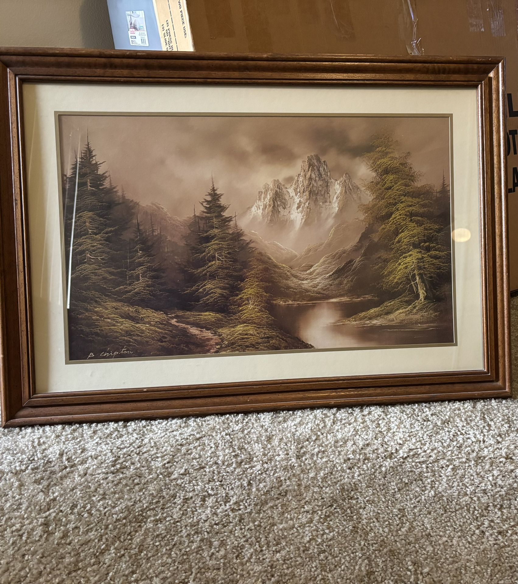 Picture