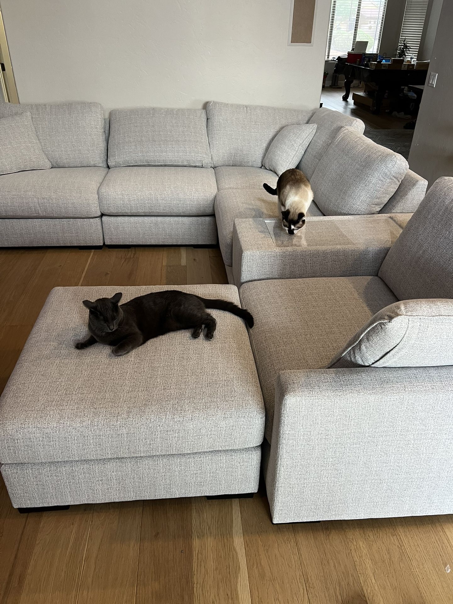 New Couch