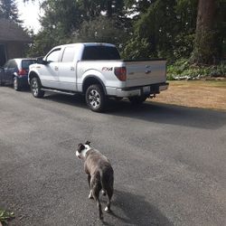 2012 Ford F-150