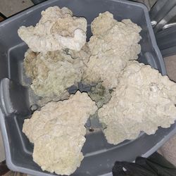DRIED SALTWATER AQUARIUM LIVE REEF ROCK