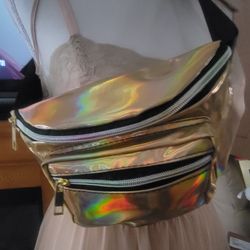 Methalic Fanny Pack, Belt Back