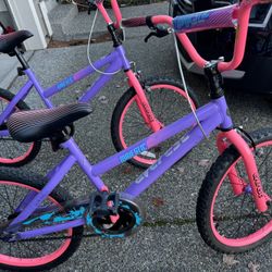 2 Girls Bikes 