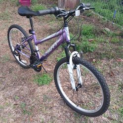 VERY NICE HUFFY BIKE