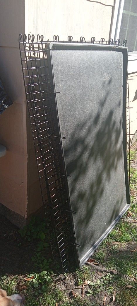 Dog Cage
