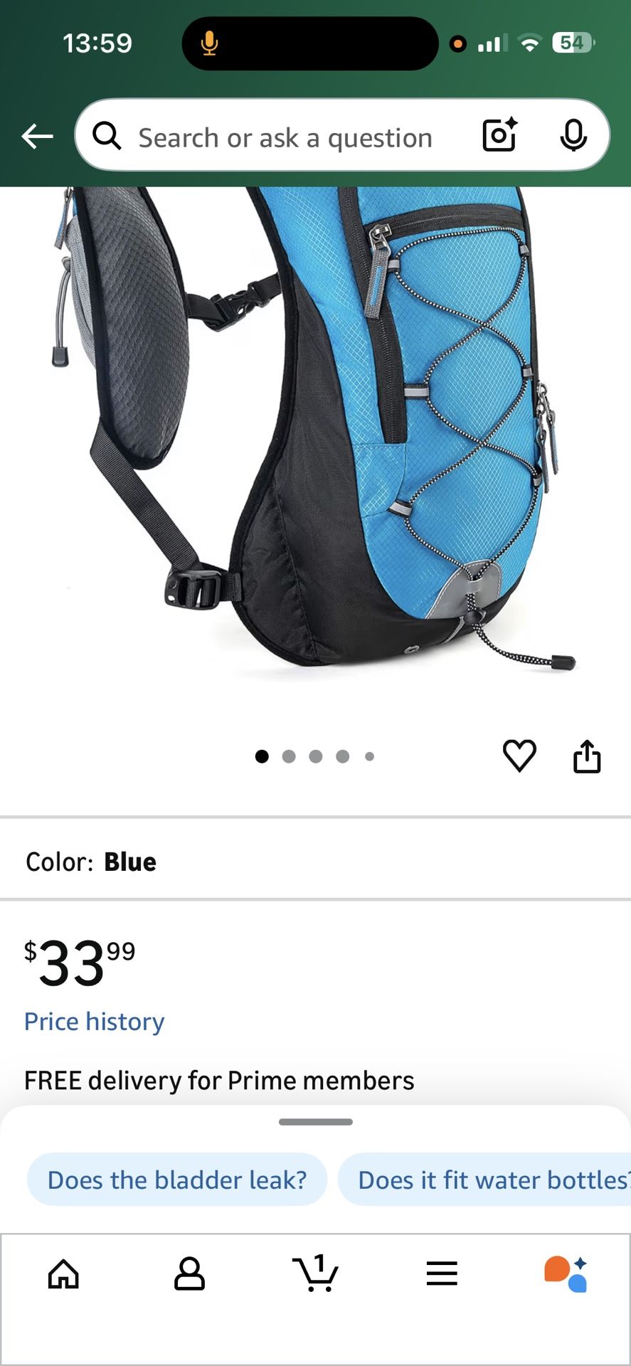 Backpack