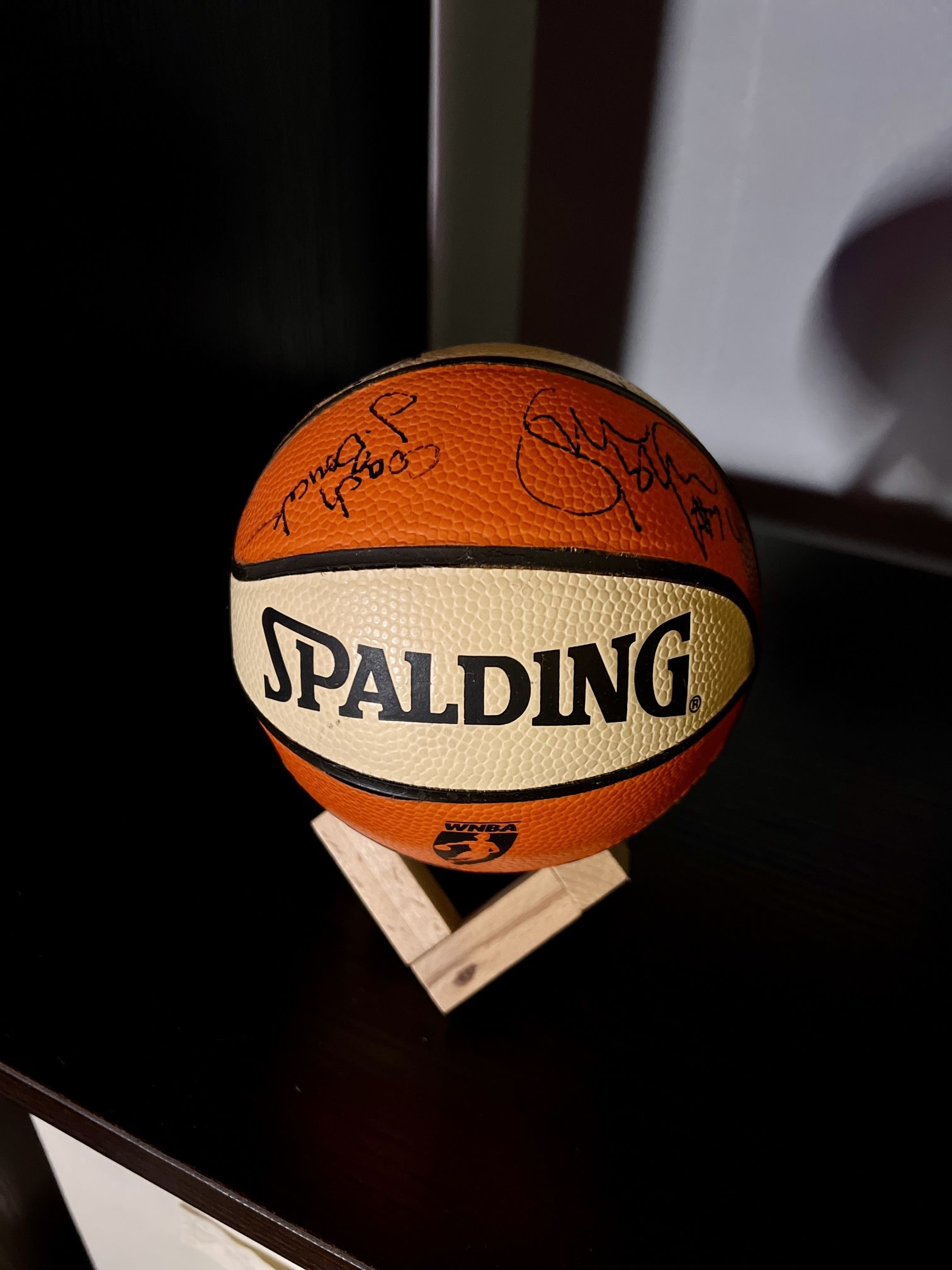 2010 Seattle Storm Championship Lot